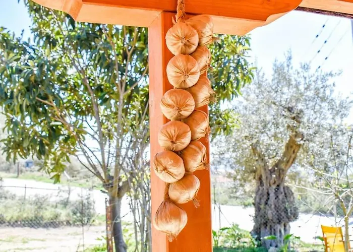 Hut House εξοχικό στην παραλία μ. άμμος * Skiathos by