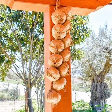 Hut House εξοχικό στην παραλία μ. άμμος * Skiathos Chora